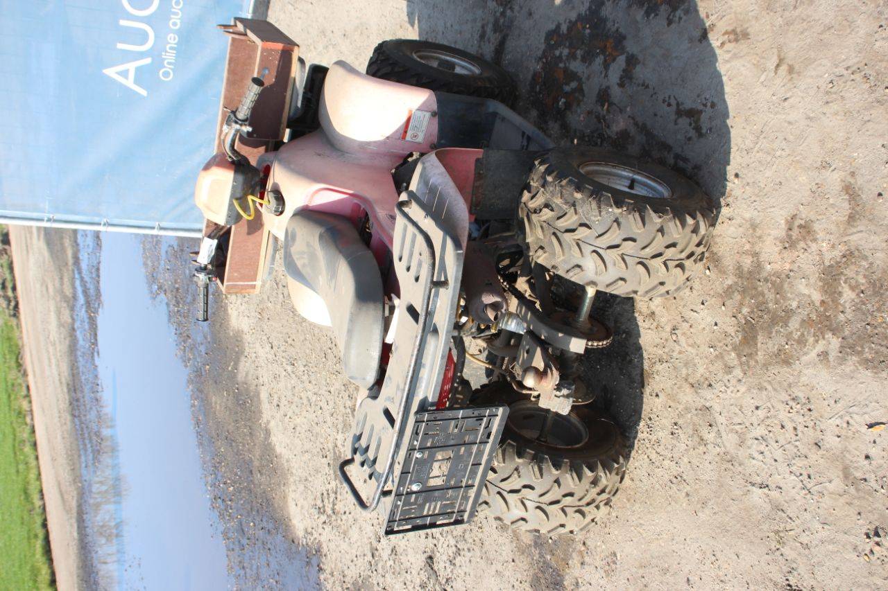 image of the lot