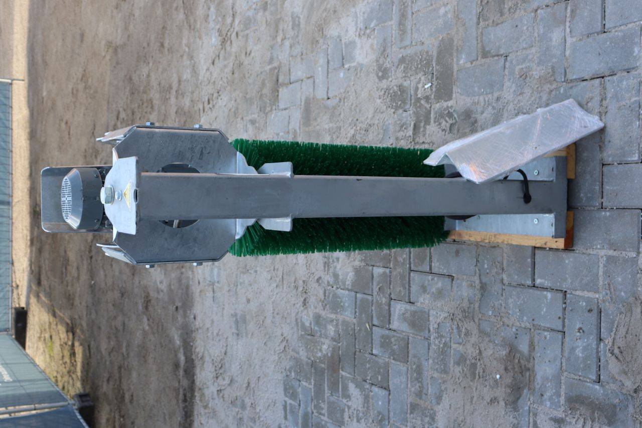 image of the lot