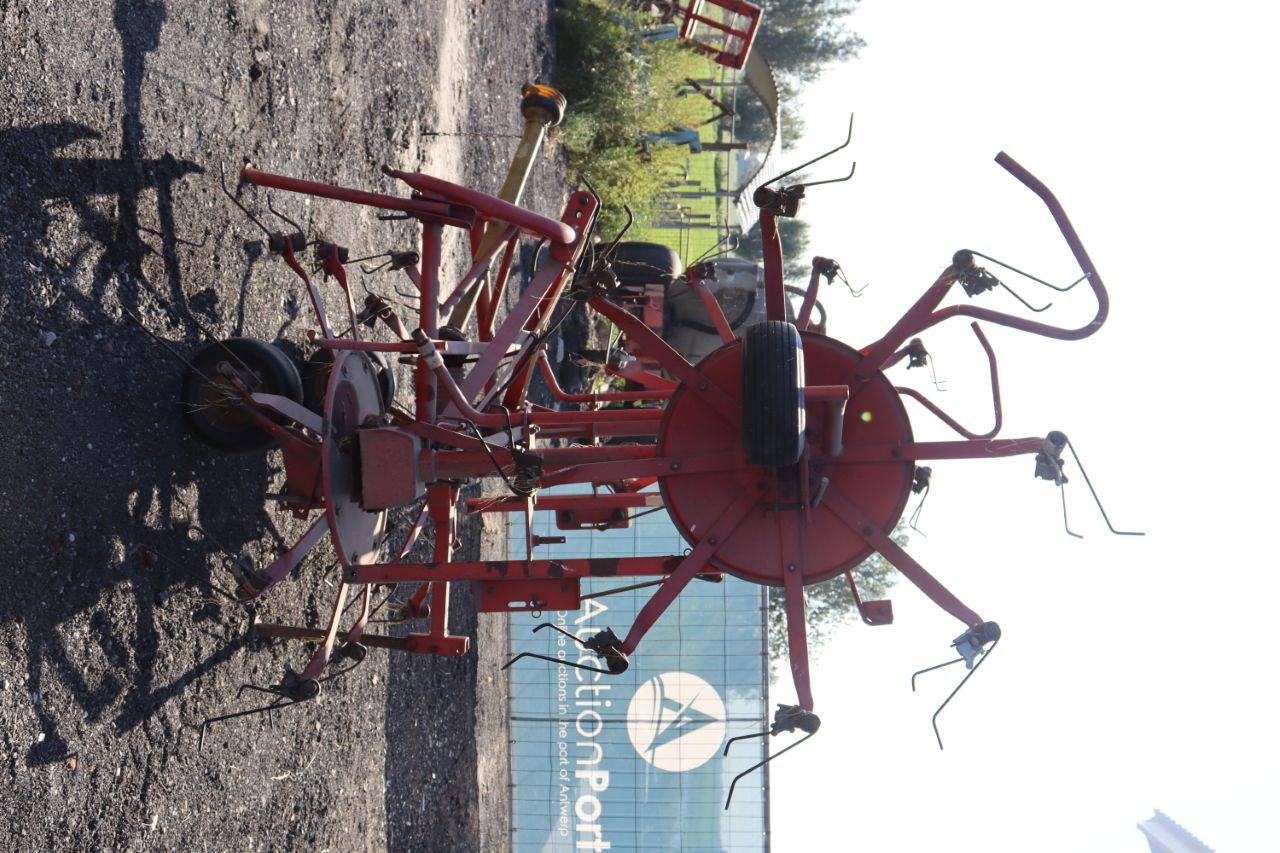 image of the lot