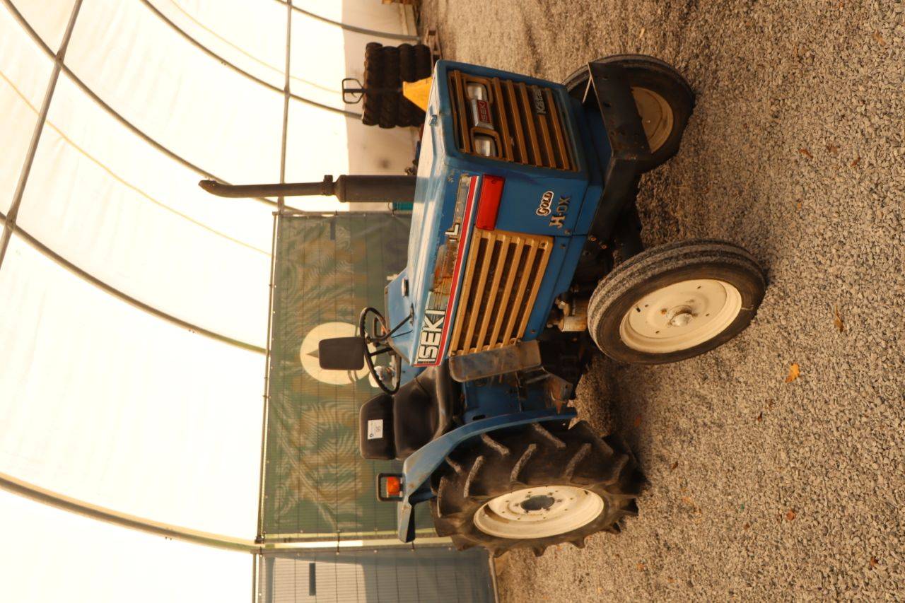 image of the lot
