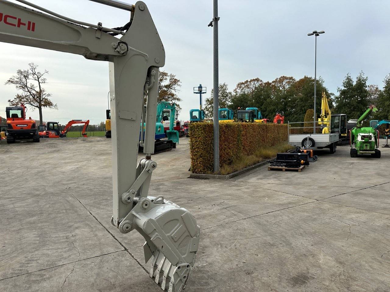 image of the lot