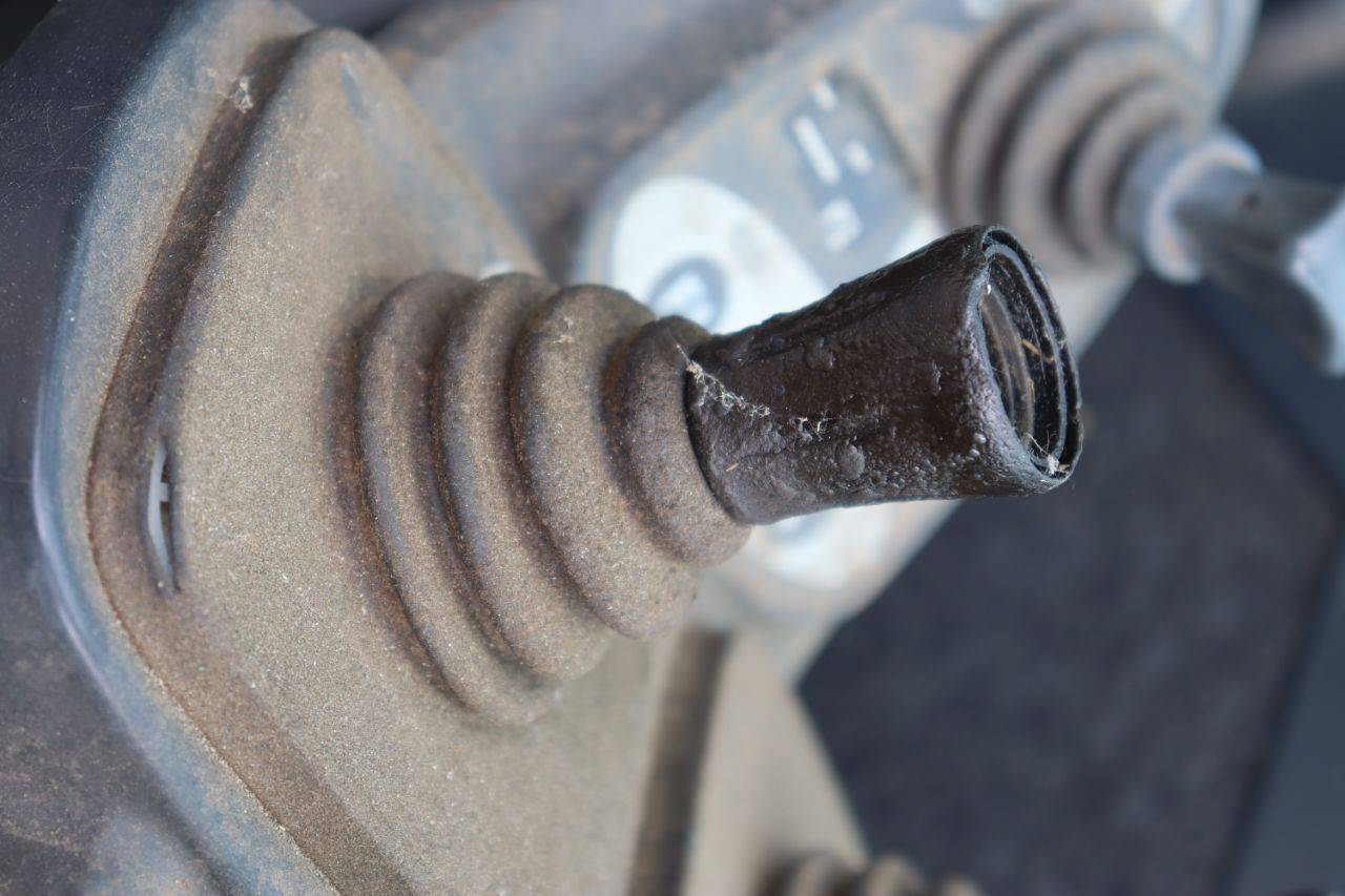image of the lot