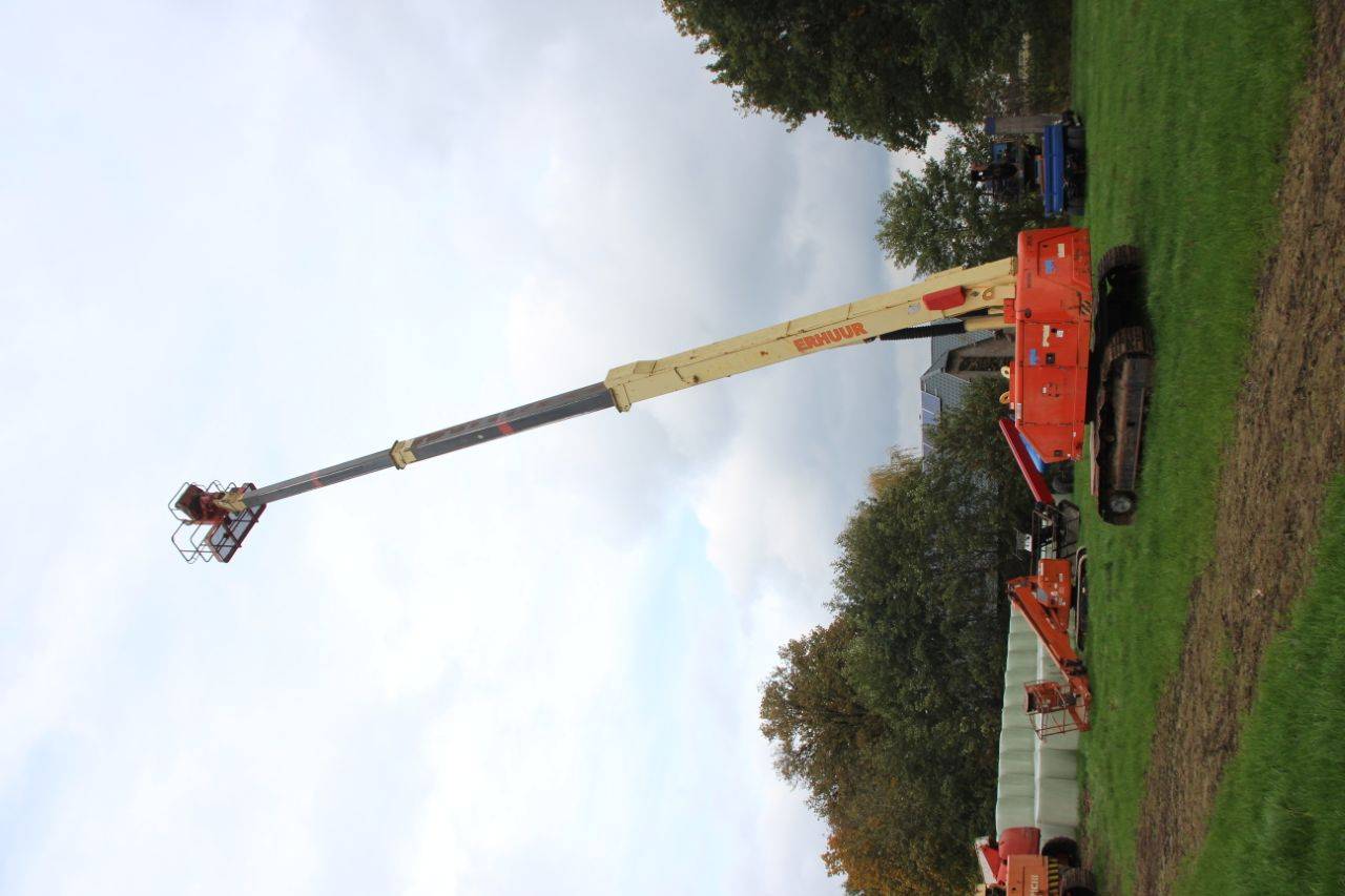 image of the lot