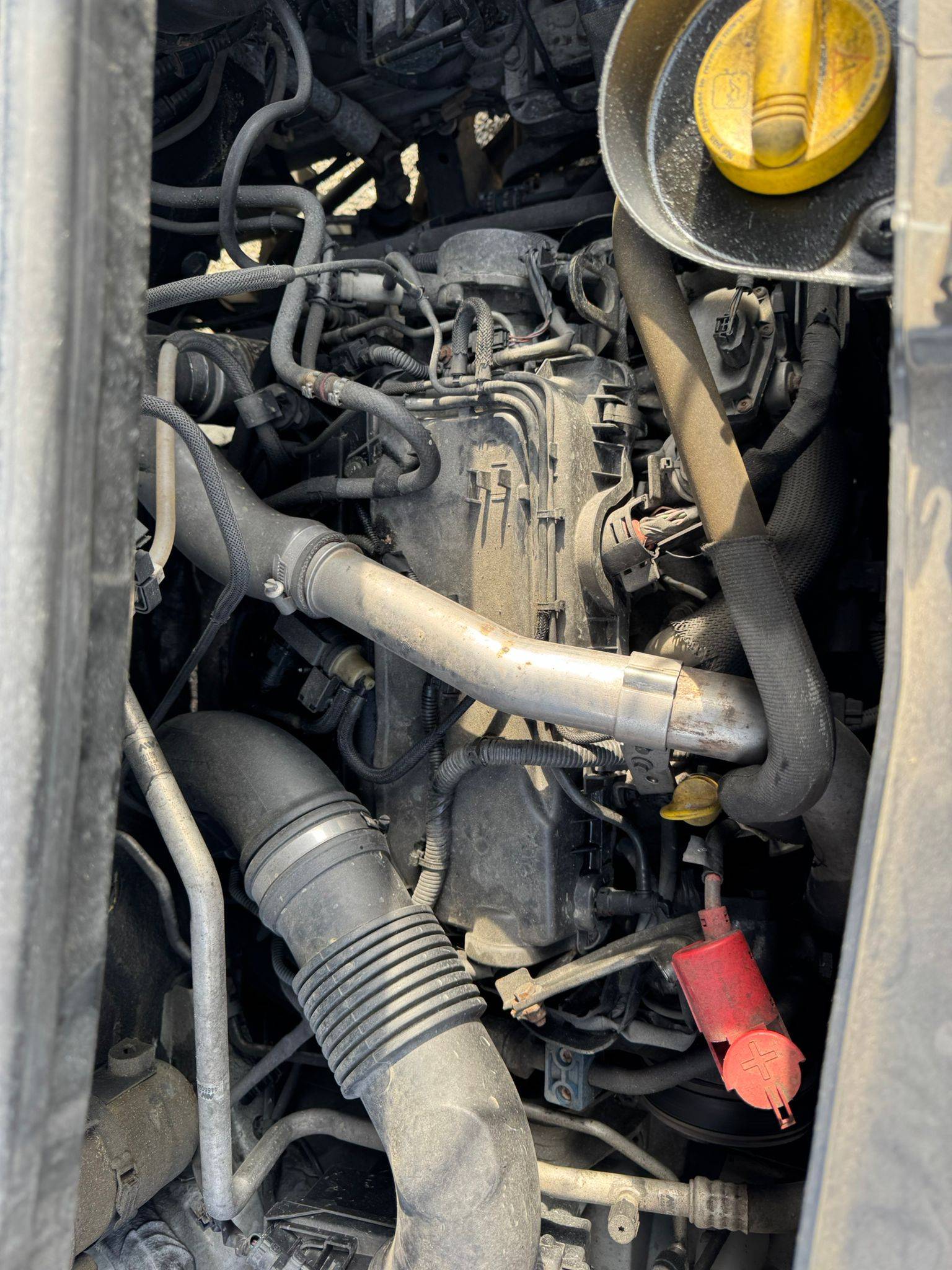 image of the lot