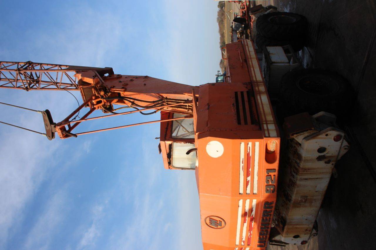 image of the lot
