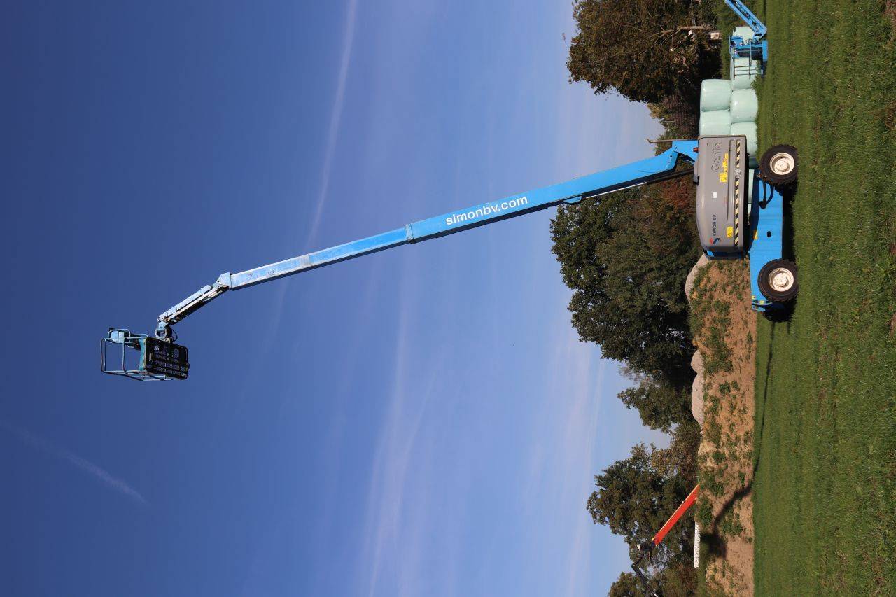 image of the lot