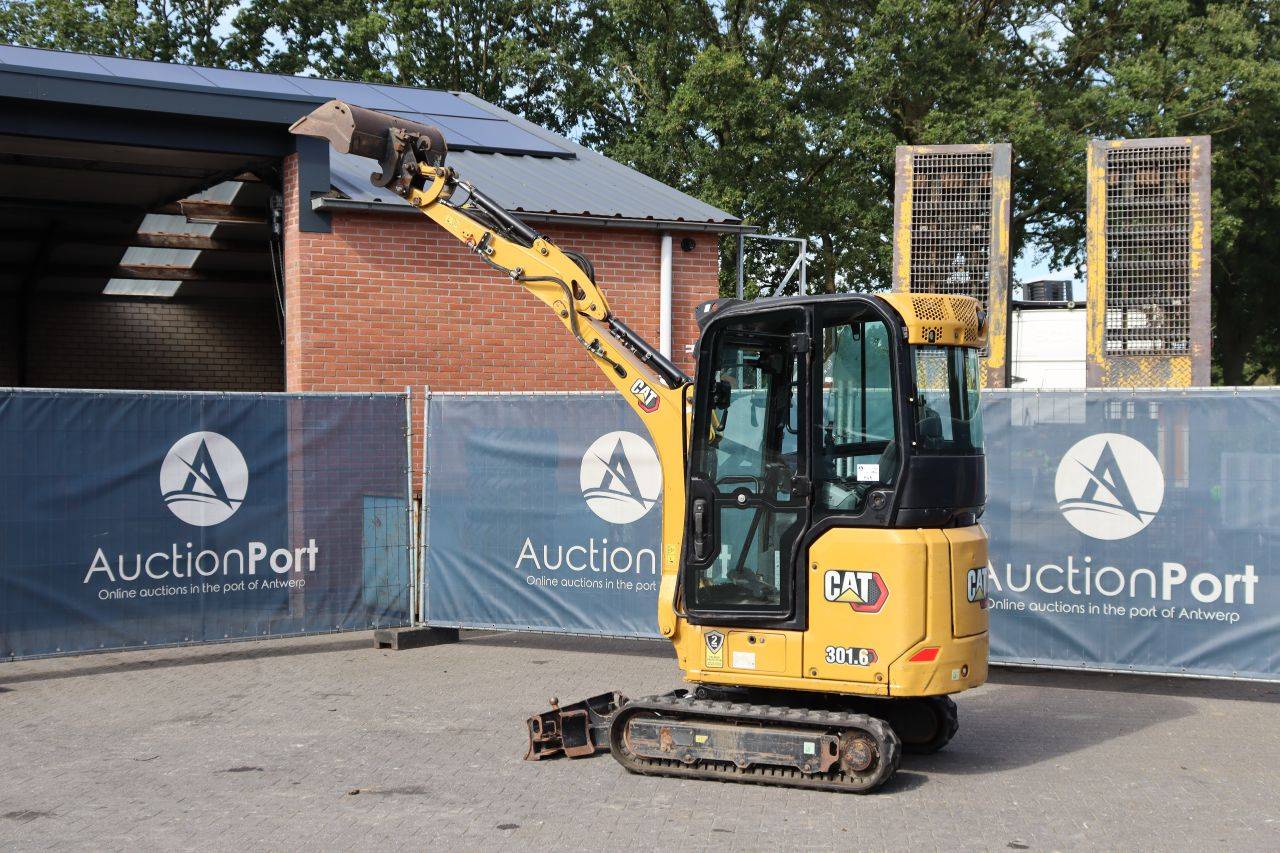 image of the lot