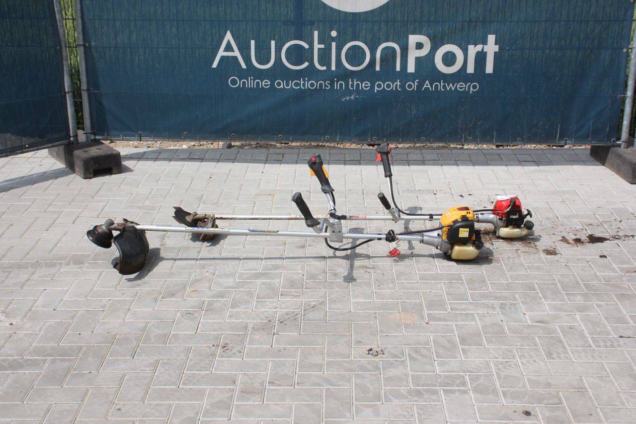 image of the lot