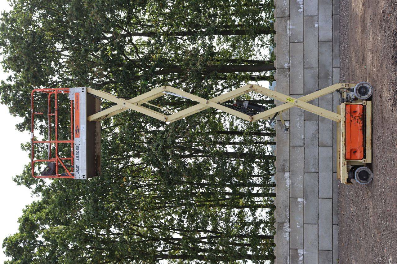image of the lot